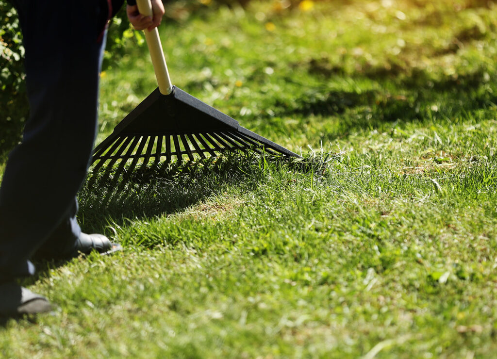 Carrollton Georgia Lawn Care and Maintenance