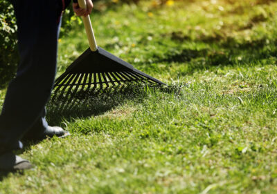 Carrollton Georgia Lawn Care and Maintenance