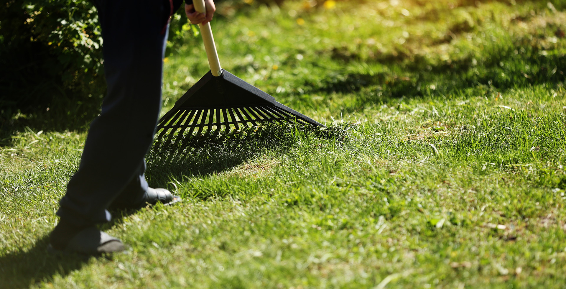 Carrollton Georgia Lawn Care and Maintenance