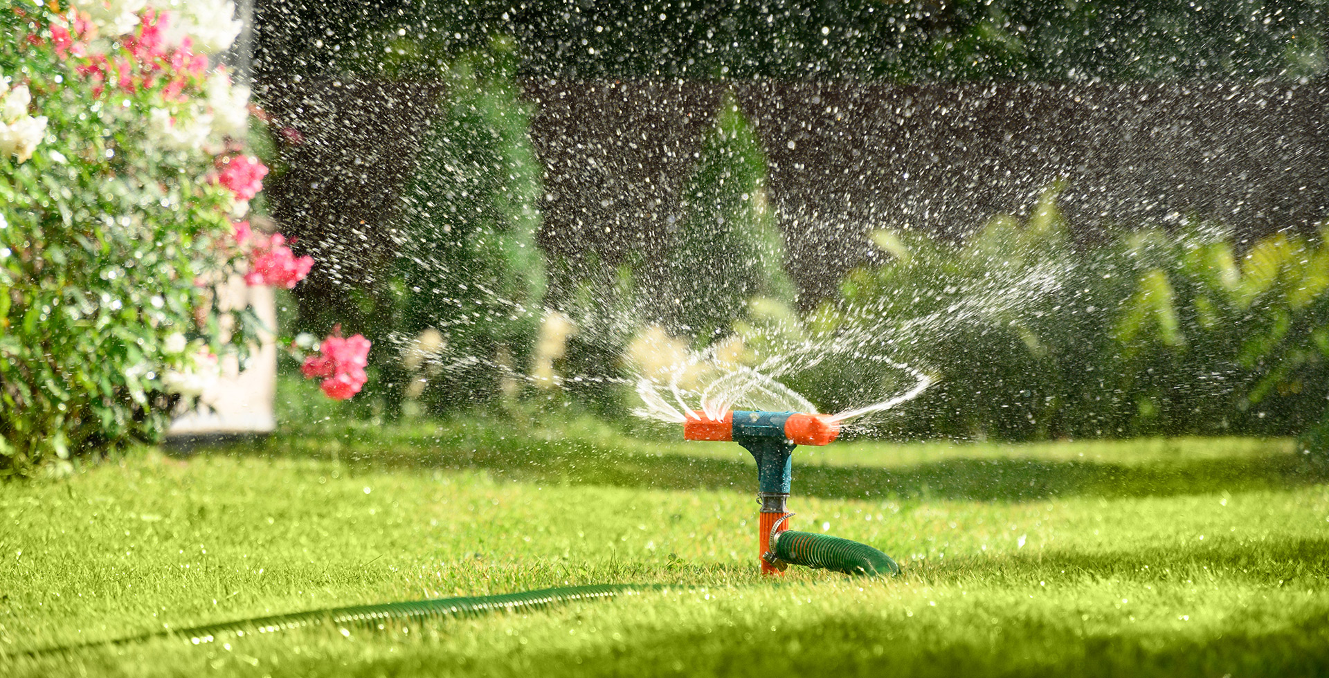 We provide lawn maintenance in West Georgia