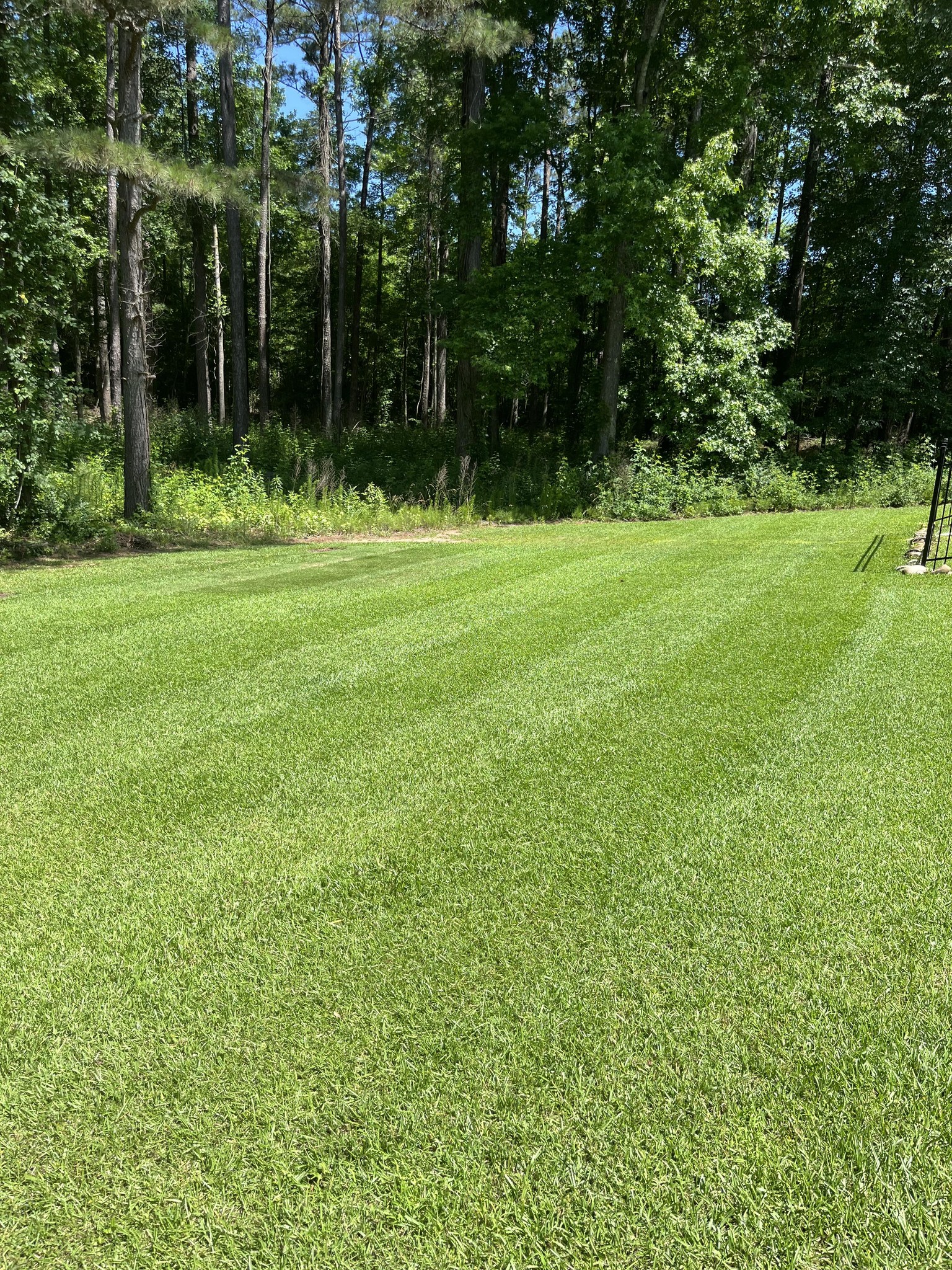 West Georgia Lawn Care Service and Seasonal Clean-up