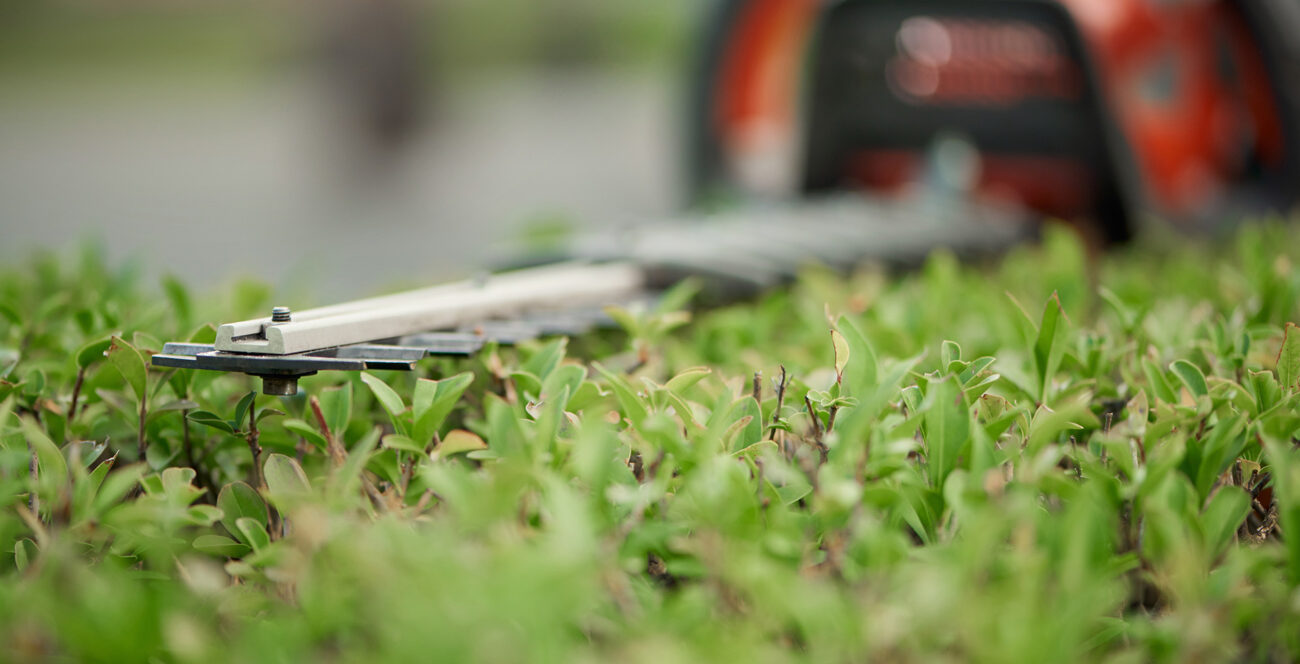 We provide lawn care services inside of Mirror Lake neighborhood in Carroll County, GA