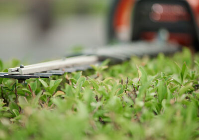 We provide lawn care services inside of Mirror Lake neighborhood in Carroll County, GA