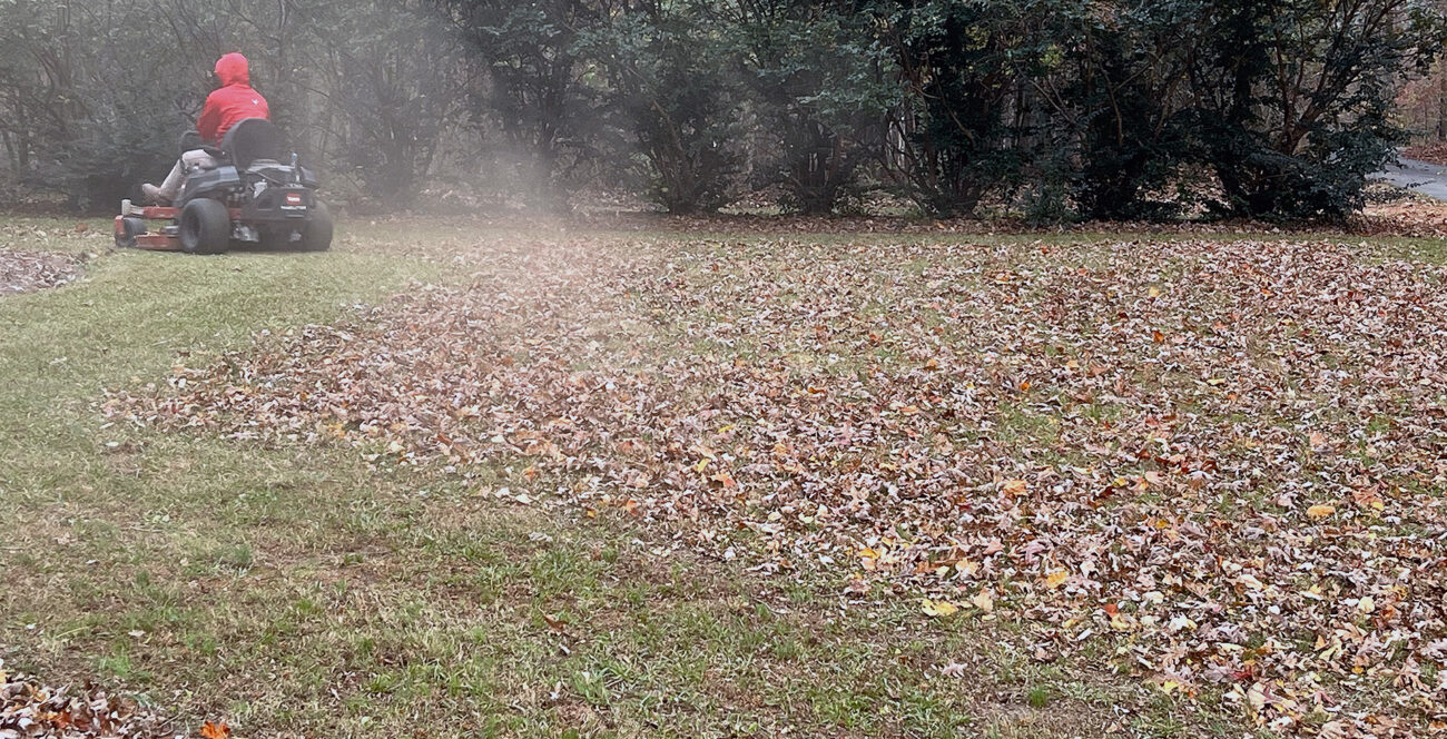 West Georgia Seasonal Lawn Cleanup