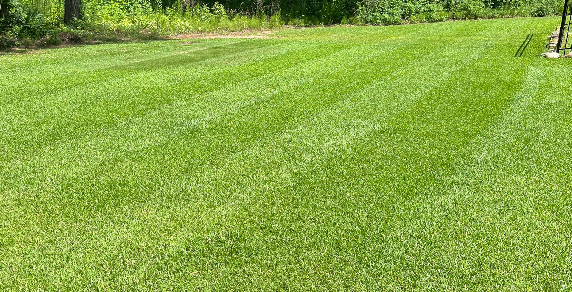 West Georgia Lawn Care Pros